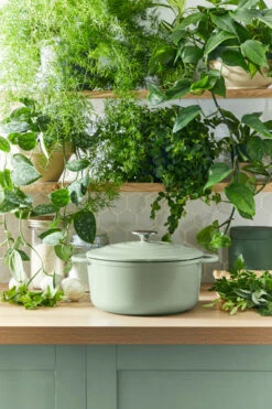 Tefal LOV Braadpan 29 Cm Groen -Tefal 1803396