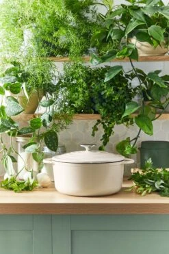 Tefal LOV Braadpan - 5L - Ø25 Cm - Beige 26 Tefal LOV Braadpan - 5L - Ø25 Cm - Beige -Tefal 800x1200 11